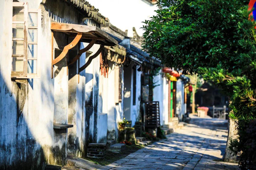 《凡人修仙传》狐三藏拙,石穿空起疑心,寻宝小组各有算计